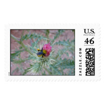 Bumblebee on Thistle Flower postage