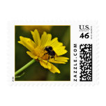 Bumblebee Stamp