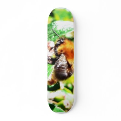 Bumblebee Skateboard Decks by lifesphere