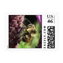 Bumblebee Stamps by wingedturtle Bumblebee Stamps