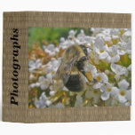 Bumblebee With Pollen Baskets Binder