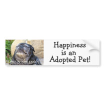 Bumblesnot bumper sticker: Happiness is...