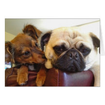 Bumblesnot greeting card: I'm here if you need me