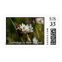 Bumbling in the Clover; Customizable Stamp