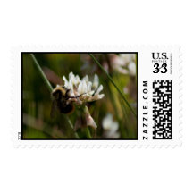 Bumbling in the Clover; No Text Stamp