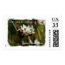 Bumbling in the Clover Stamp
