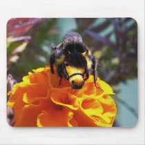 Bumblorse mousepad