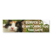Bumper Cat is watching TAILGATE 7 Bumper Sticker