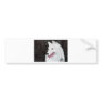 Bumper Sticker