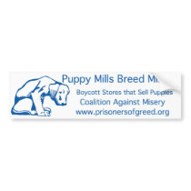 Bumper Sticker