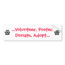 Bumper Sticker