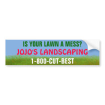 Bumper Sticker bumper stickers