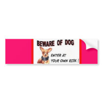 BUMPER STICKER
