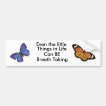 Bumper Sticker