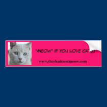 Bumper Sticker bumper stickers