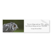 Bumper Sticker - Baby Grey Owl with quote