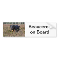 bumper sticker beauceron