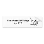 Bumper Sticker / Black-capped Chickadee