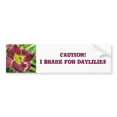 Bumper Sticker Brake for Daylilies by Mike144mann