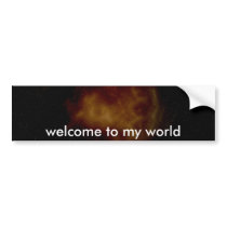 bumper sticker bumper stickers