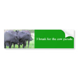 Bumper Sticker, Cow Photography
