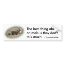 Bumper Sticker - Cute Baby Otter famous quote