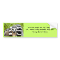 Bumper Sticker - Cute Lemur Stripey Tail