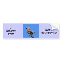 Bumper Sticker for Bird Lovers!