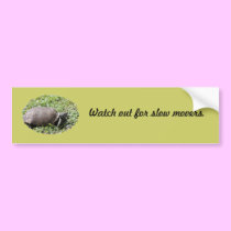 Bumper Sticker, Gopher Tortoise bumper stickers