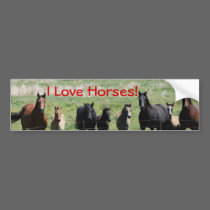 Bumper Sticker - I Love Horses! bumper stickers by smilodonart Bumper Sticker - I Love Horses! bumper stickers