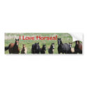 Bumper Sticker - I Love Horses! bumper stickers by smilodonart Bumper Sticker - I Love Horses! bumper stickers