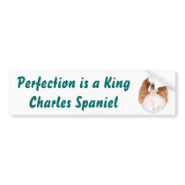 Bumper Sticker : King Charles Spaniel bumper stickers