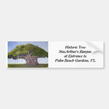 Bumper Sticker - MacArthur's Banyan