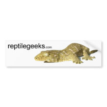 Bumper Sticker - New Caledonian Giant Gecko bumper stickers