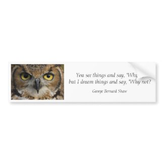Bumper Sticker - Owls Eyes with quote