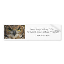Bumper Sticker - Owls Eyes with quote