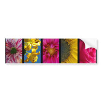 Bumper Sticker - Pink & Yellow Macro Flowers