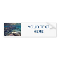 Bumper Sticker - Powder Blue Surgeon Fish