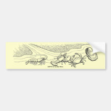 Bumper Sticker / Shellfish