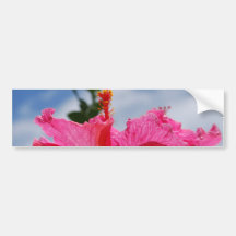 Bumper Sticker Template - Customized
