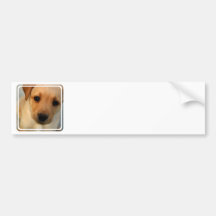 Bumper Sticker Template - Customized