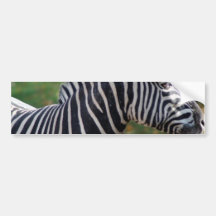 Bumper Sticker Template - Customized