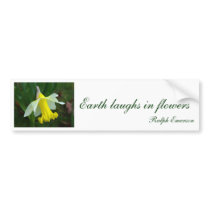 Bumper Sticker - Yellow Daffodil Earth laughs in f