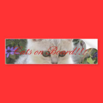 Bumpers for cats bumper stickers