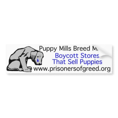 Bumpersticker Bumper Sticker by Prisonersofgreed