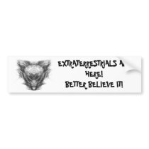 BUMPERSTICKER