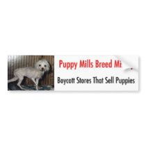 Bumpersticker by Prisonersofgreed Bumpersticker