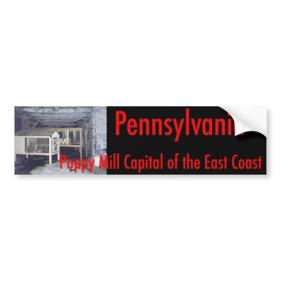 Bumpersticker Bumper Stickers by Prisonersofgreed