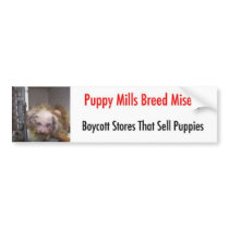 Bumpersticker Bumper Sticker