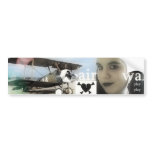 BUMPERSTICKER BUMPER STICKERS